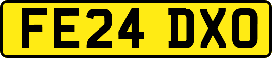 FE24DXO
