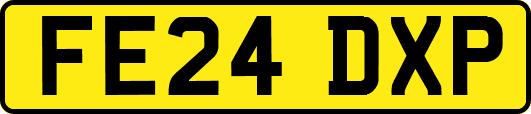 FE24DXP