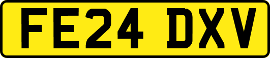 FE24DXV
