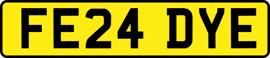 FE24DYE