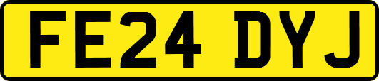 FE24DYJ
