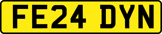 FE24DYN