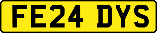 FE24DYS