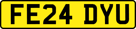 FE24DYU