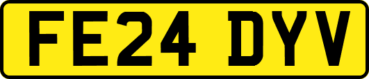 FE24DYV