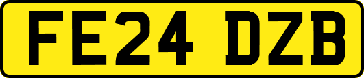 FE24DZB