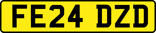 FE24DZD