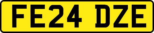 FE24DZE