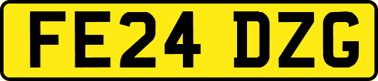 FE24DZG