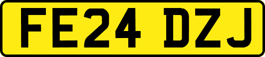 FE24DZJ