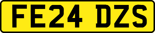 FE24DZS