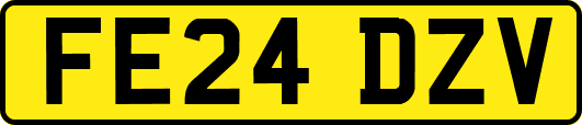 FE24DZV