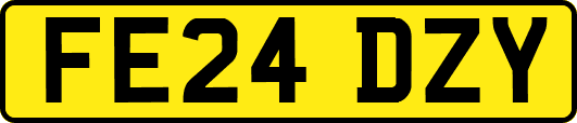 FE24DZY
