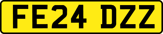 FE24DZZ