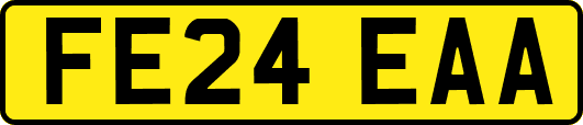 FE24EAA
