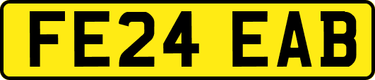 FE24EAB