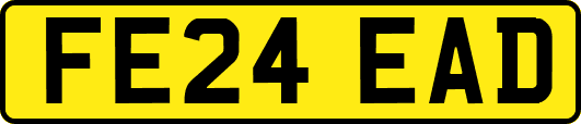 FE24EAD