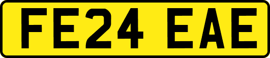FE24EAE