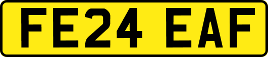 FE24EAF