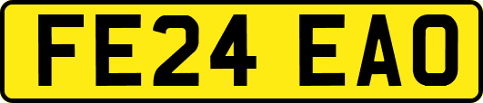 FE24EAO