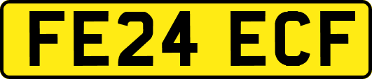 FE24ECF