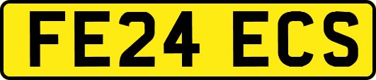 FE24ECS