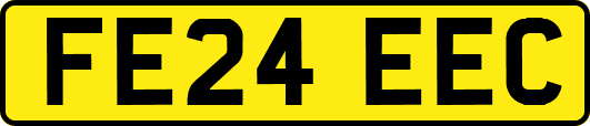 FE24EEC
