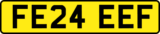 FE24EEF