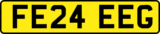FE24EEG