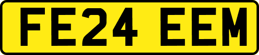 FE24EEM