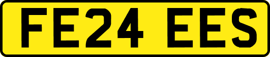 FE24EES