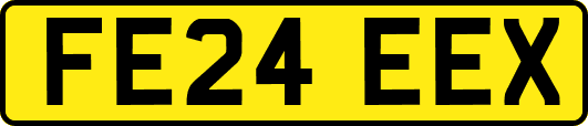 FE24EEX