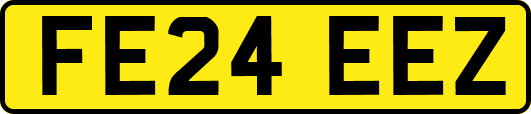 FE24EEZ