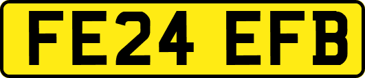 FE24EFB