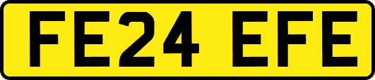 FE24EFE