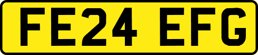FE24EFG
