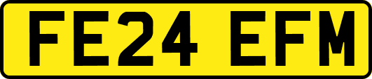 FE24EFM