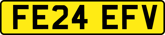 FE24EFV