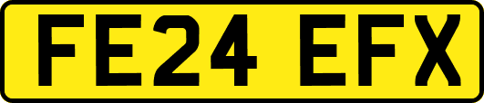 FE24EFX