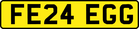 FE24EGG