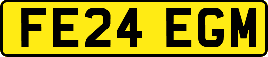 FE24EGM