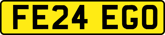 FE24EGO