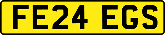 FE24EGS