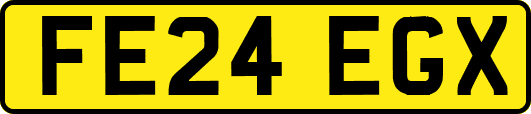 FE24EGX
