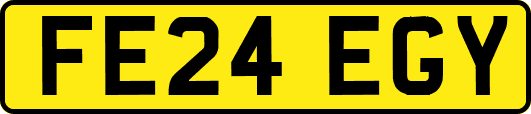 FE24EGY