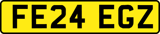 FE24EGZ