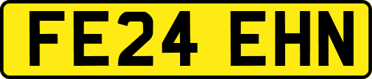 FE24EHN