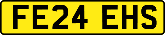 FE24EHS