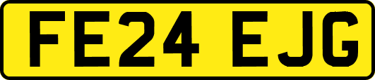 FE24EJG