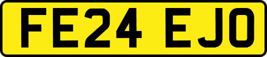 FE24EJO
